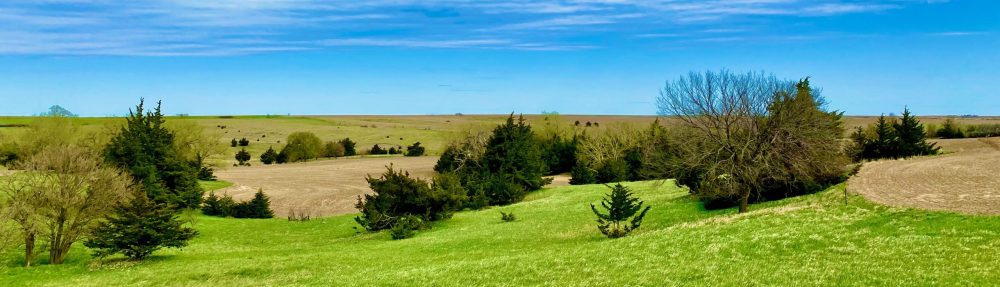 rolling prairie with low trees